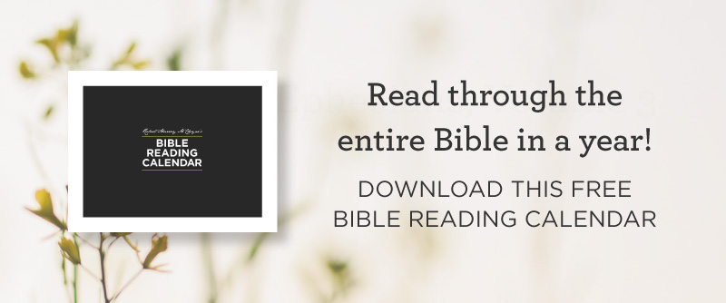 Bible Reading Plan