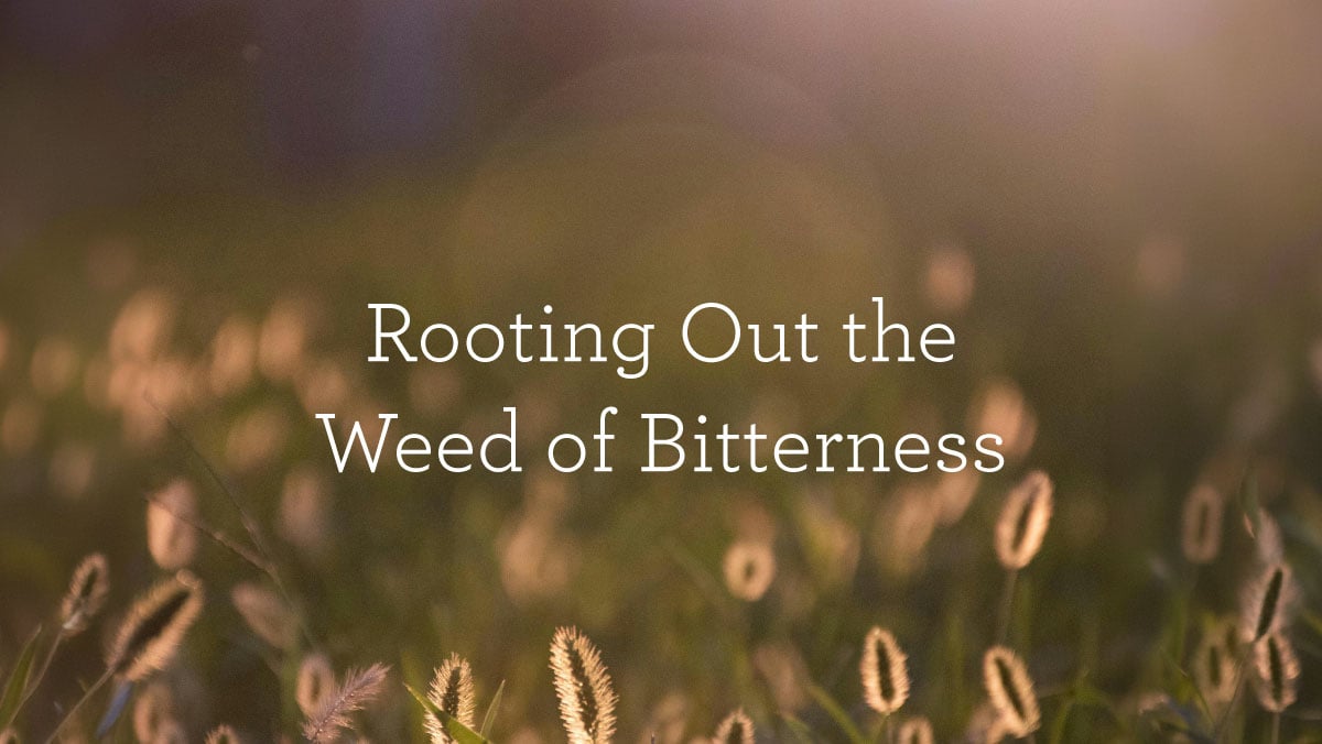 Rooting Out the Weed of Bitterness