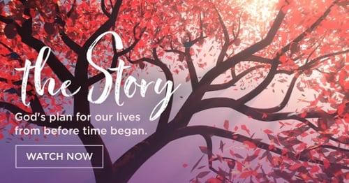 The Story: Watch Now!
